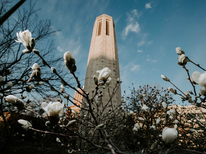 Mueller tower with blooming flowers in front